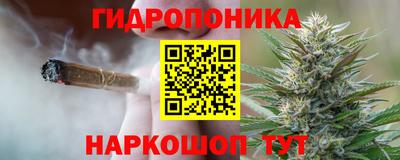 mdpv Лесосибирск
