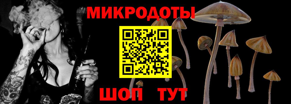 Псилоцибиновые грибы мухоморы  Вход с VPN  Псилоцибиновые грибы мицелий  Звенигород 