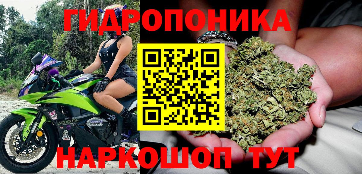 Бошки Шишки THC 21% Звенигород